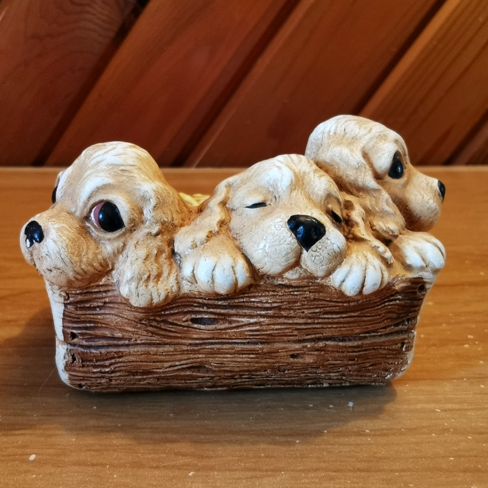 Woodlander Trio Puppies